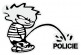 Boy POLICIE